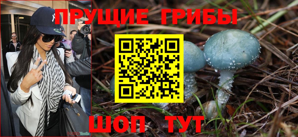 Галлюциногенные грибы Psilocybe  хочу наркоту  Междуреченск  Вход с VPN  Галлюциногенные грибы мухоморы 